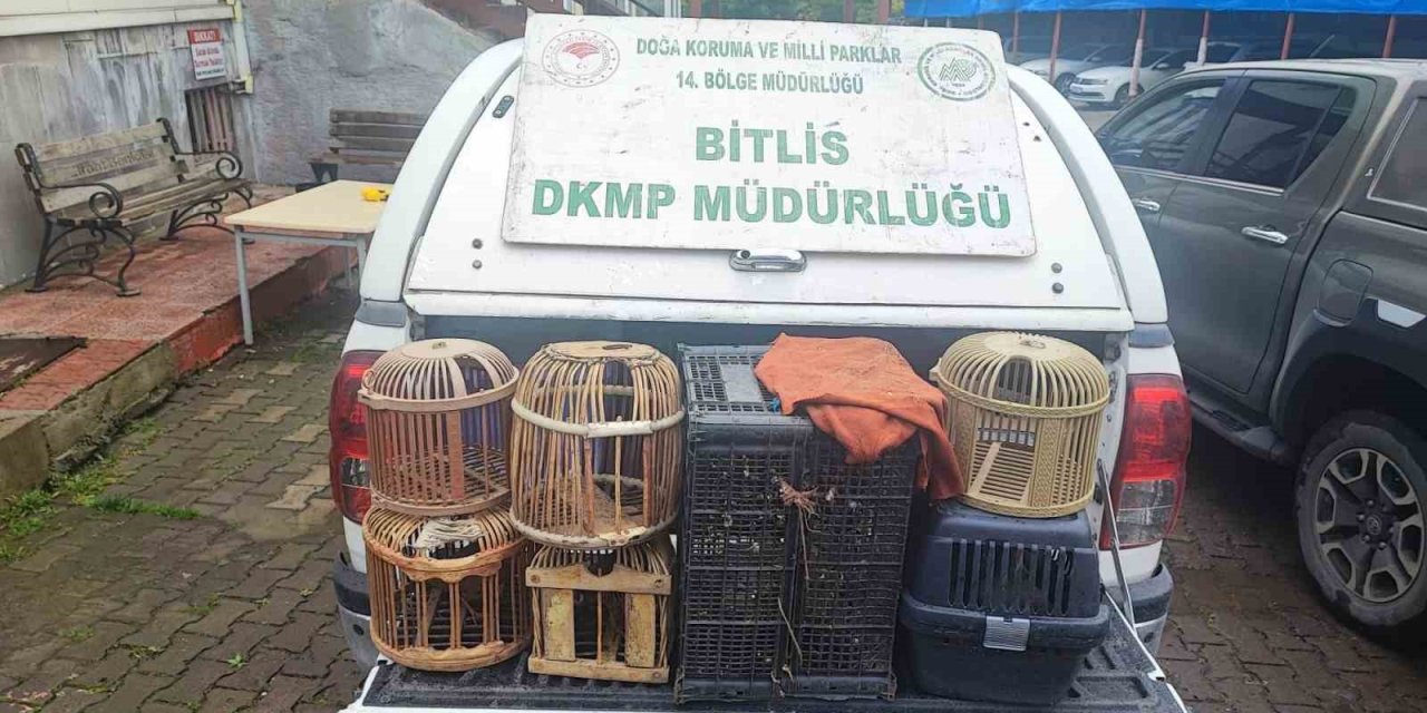 Bitlis’te kaçak avlanmış keklikler doğaya salındı