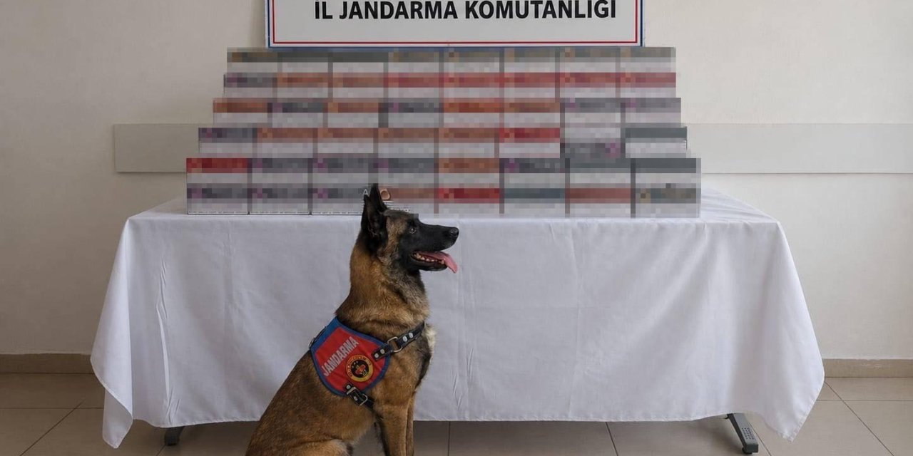 Mardin’de 8 milyon lira değerinde kaçak ürün ele geçirildi
