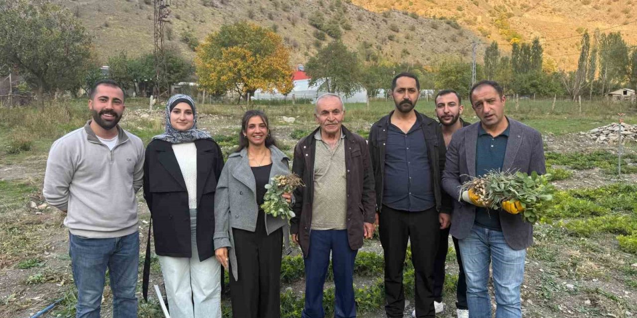 Hakkâri’de tarımda bir ilk: Bin 350 rakımda yer fıstığı yetiştirildi