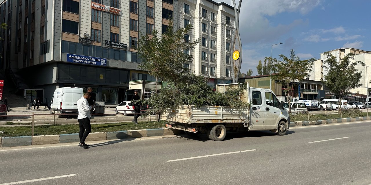 İpekyolu Caddesi’nde ağaç budama çalışması