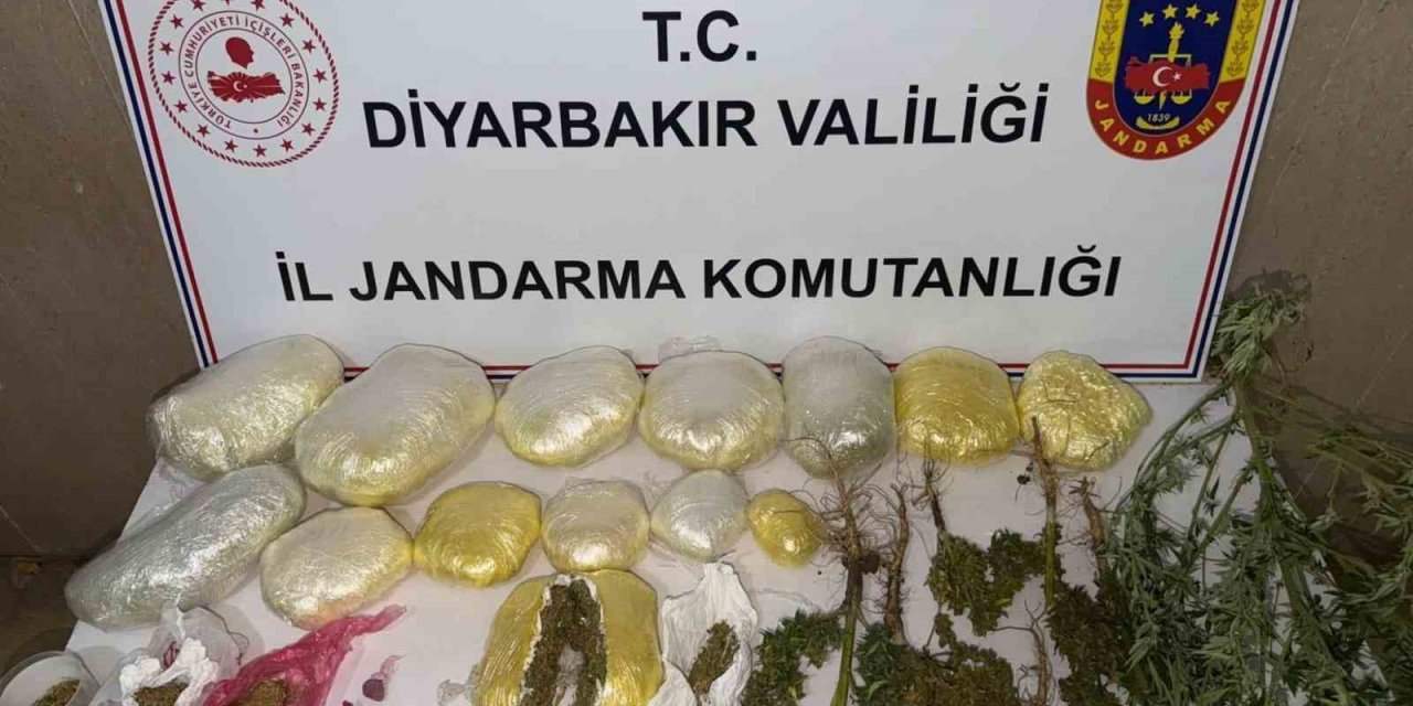Diyarbakır’da 59 bin kök kenevir ile 109 kilo uyuşturucu ele geçirildi