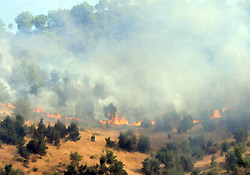 Şemdinli'de yoğun top atışlası orman yangınına neden oldu