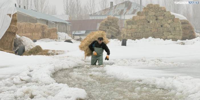 Yüksekova’da su baskınları: Evler ve ahırlar sular altında
