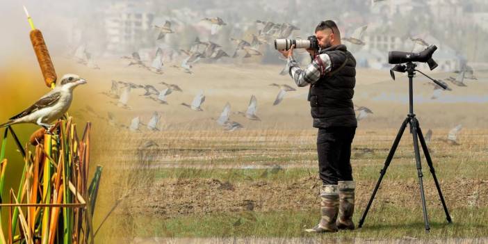 Emrah Kayhan: “Yüksekova Nehil Sazlığı’nda bugüne kadar 292 kuş türü gözlemledim"