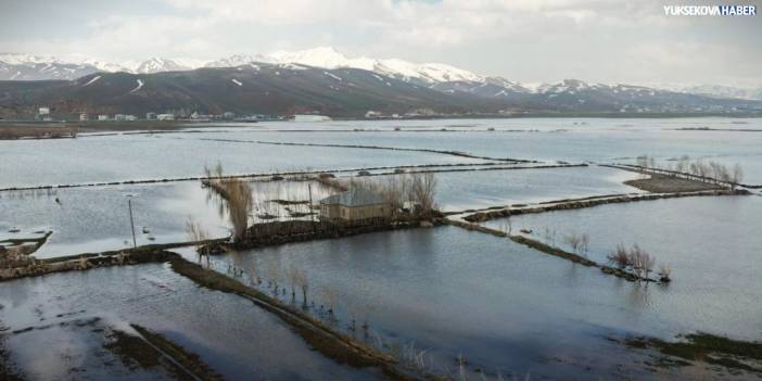 Yüksekova'da Nehil taştı, ova doldu: Köprücük’te evler sularla çevrildi