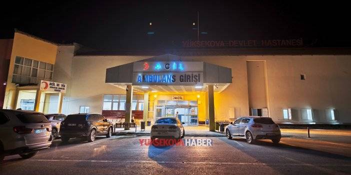 Yüksekova’da piknik yapan baba ve kızı tüfek saçmalarıyla yaralandı