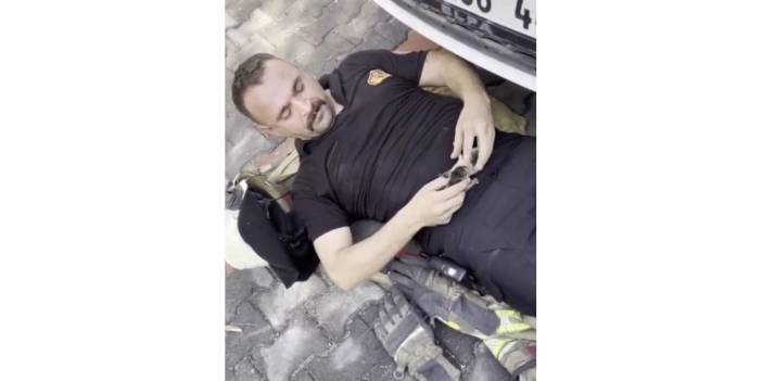 Araç kaputunda doğan kediler itfaiye eri tarafından kurtarıldı