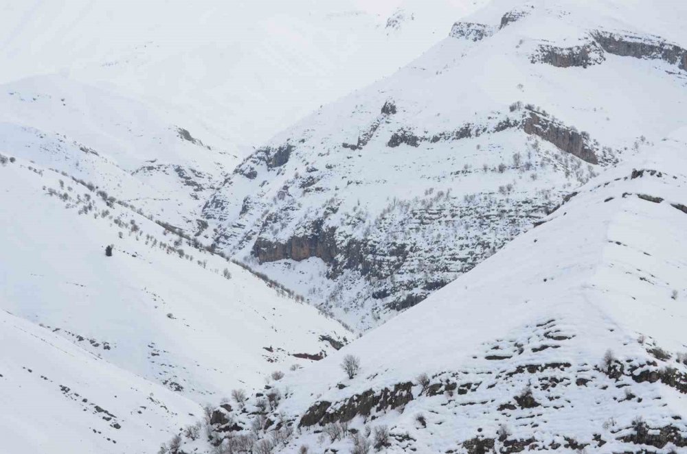 Kar altında kalan Tanin Tanin Dağları havadan görüntülendi