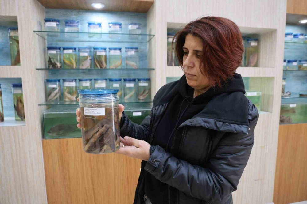 Elazığ’daki ‘Balık Müzesi’ ilgi görüyor