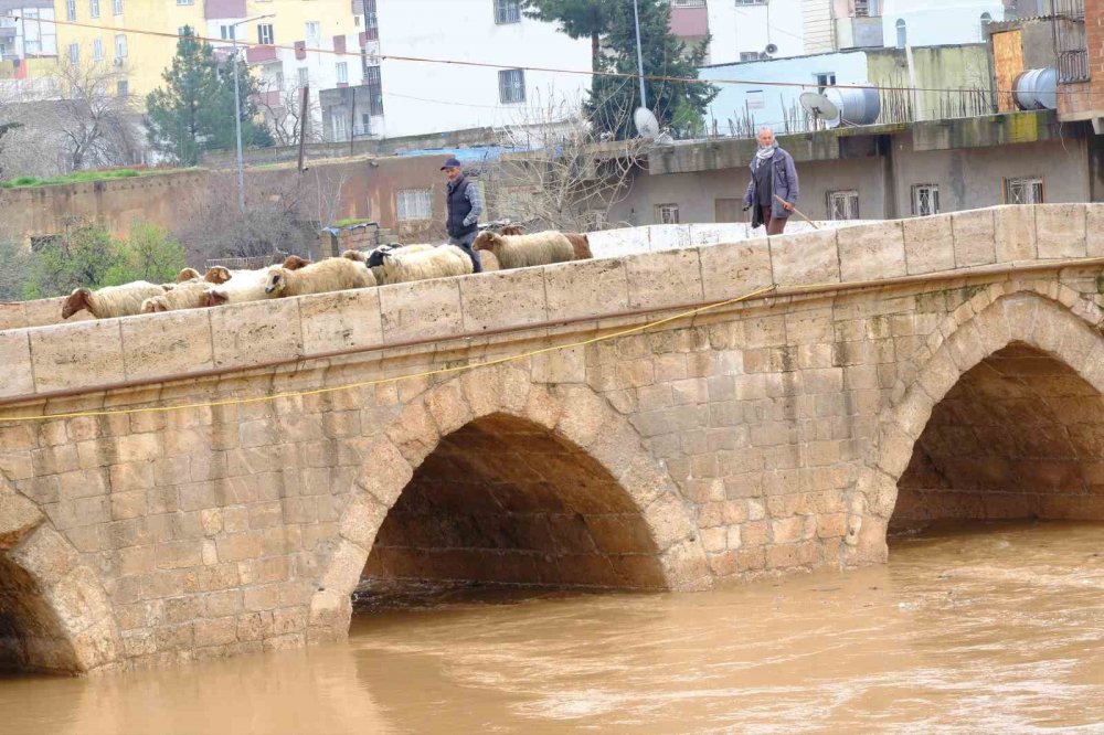 Kızıltepe'de yağışla birlikte tarihi Dunaysır Köprüsü’nün debisi yükseldi