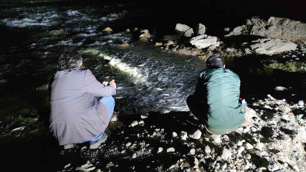 İnci kefalinin muhteşem gece yolculuğu başladı