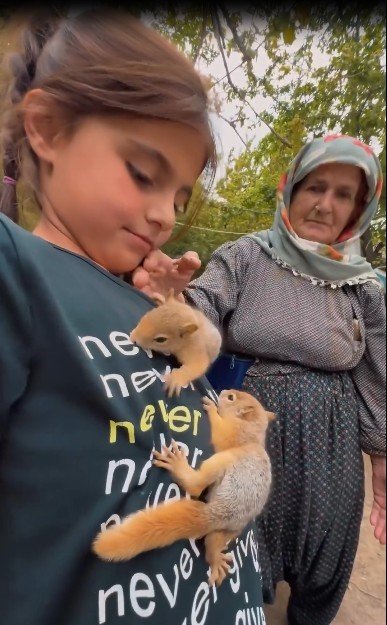 Hakkarili ailenin yavru sincaplara sevgi