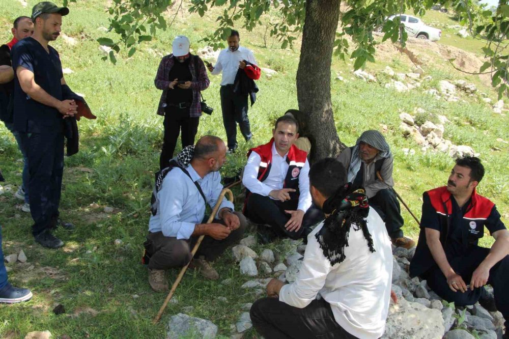 5 bin insan, 400 bin küçükbaş hayvanın zorlu yolcuğu başladı