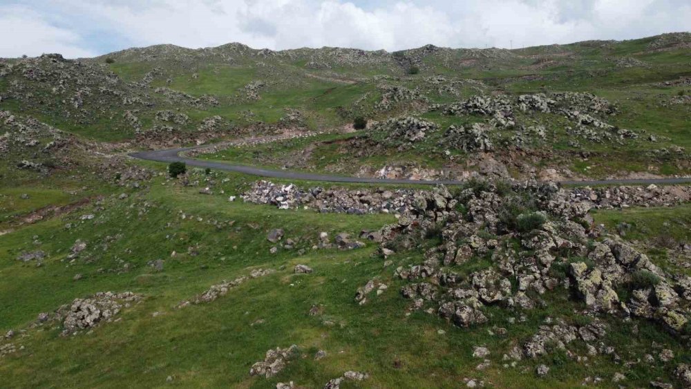 Iğdır’da dağlar yağmur sonrası yeşile büründü