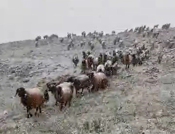 Beytüşşebap’ın yüksek kesimlerinde kar yağdı