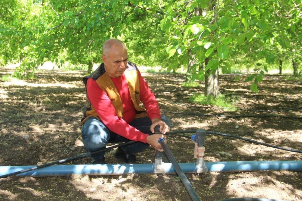 Dersim'de dut üreticileri yeni sezon için bahçeye indi