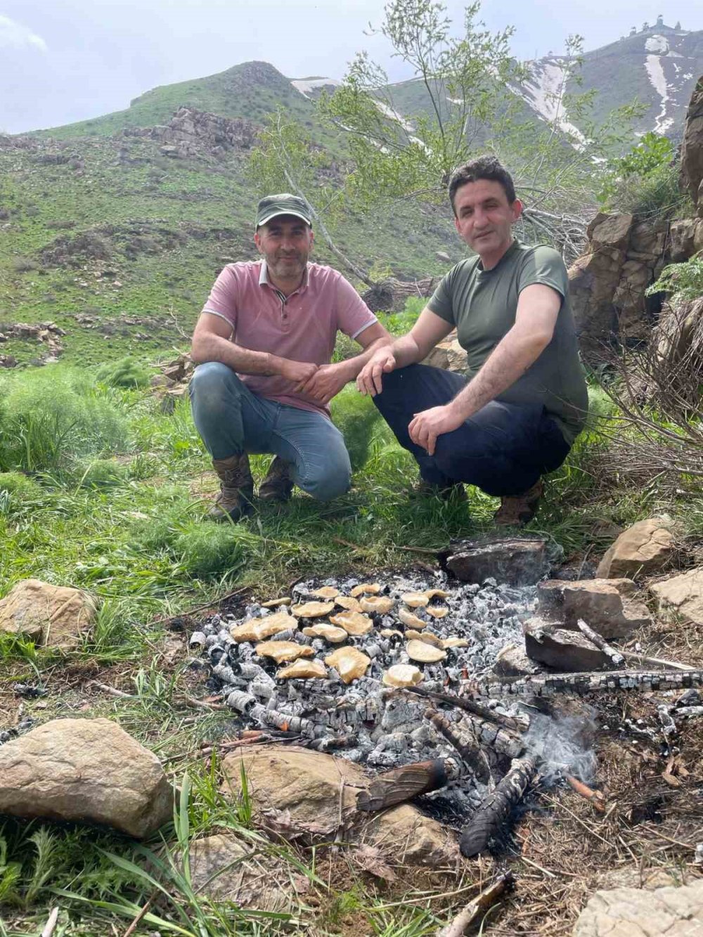 Şemdinli’de mantar bereketi