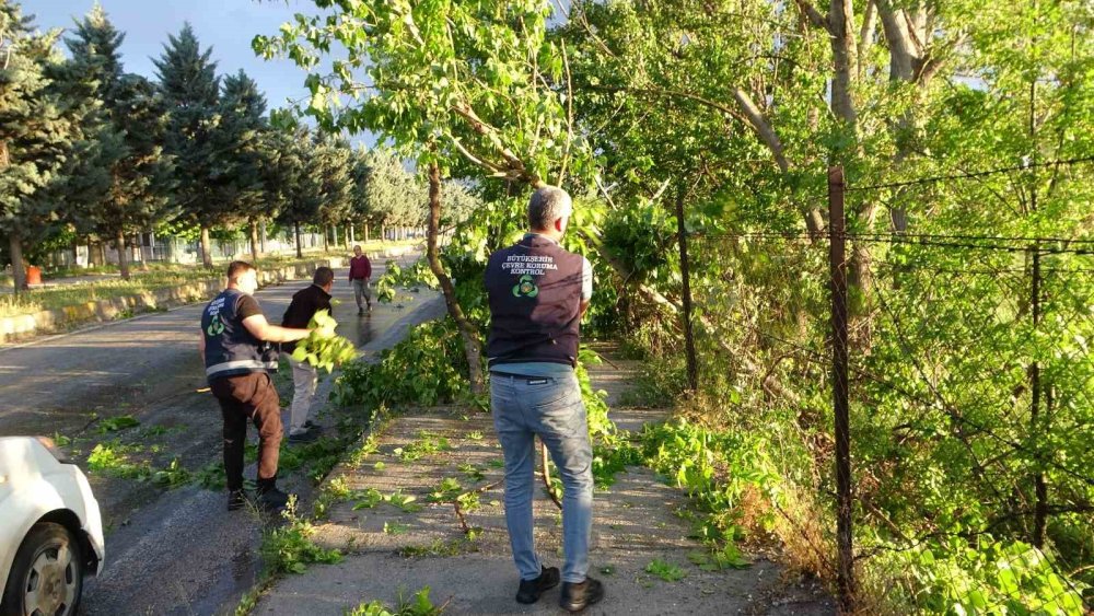 Malatya’da 15 dakikalık fırtına ağaçları devirdi