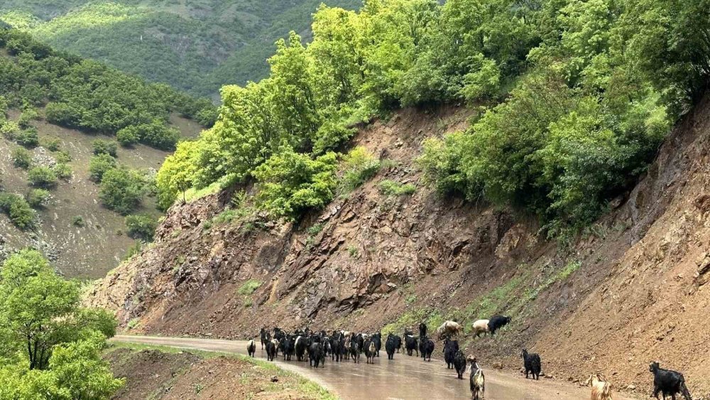 Şemdinli yeşil doğasıyla huzur veriyor