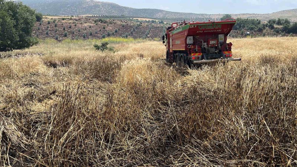 Kilis’te çıkan yangında 15 dönüm alanda ekili buğday kül oldu