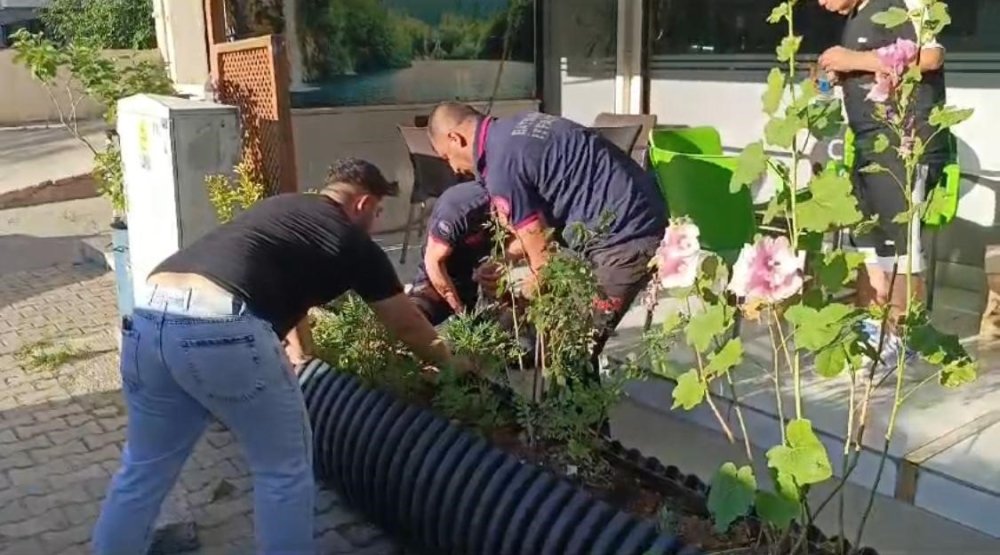 Çiçek saksının altına sıkışan ’Boncuk’ için tüm ekip seferber oldu