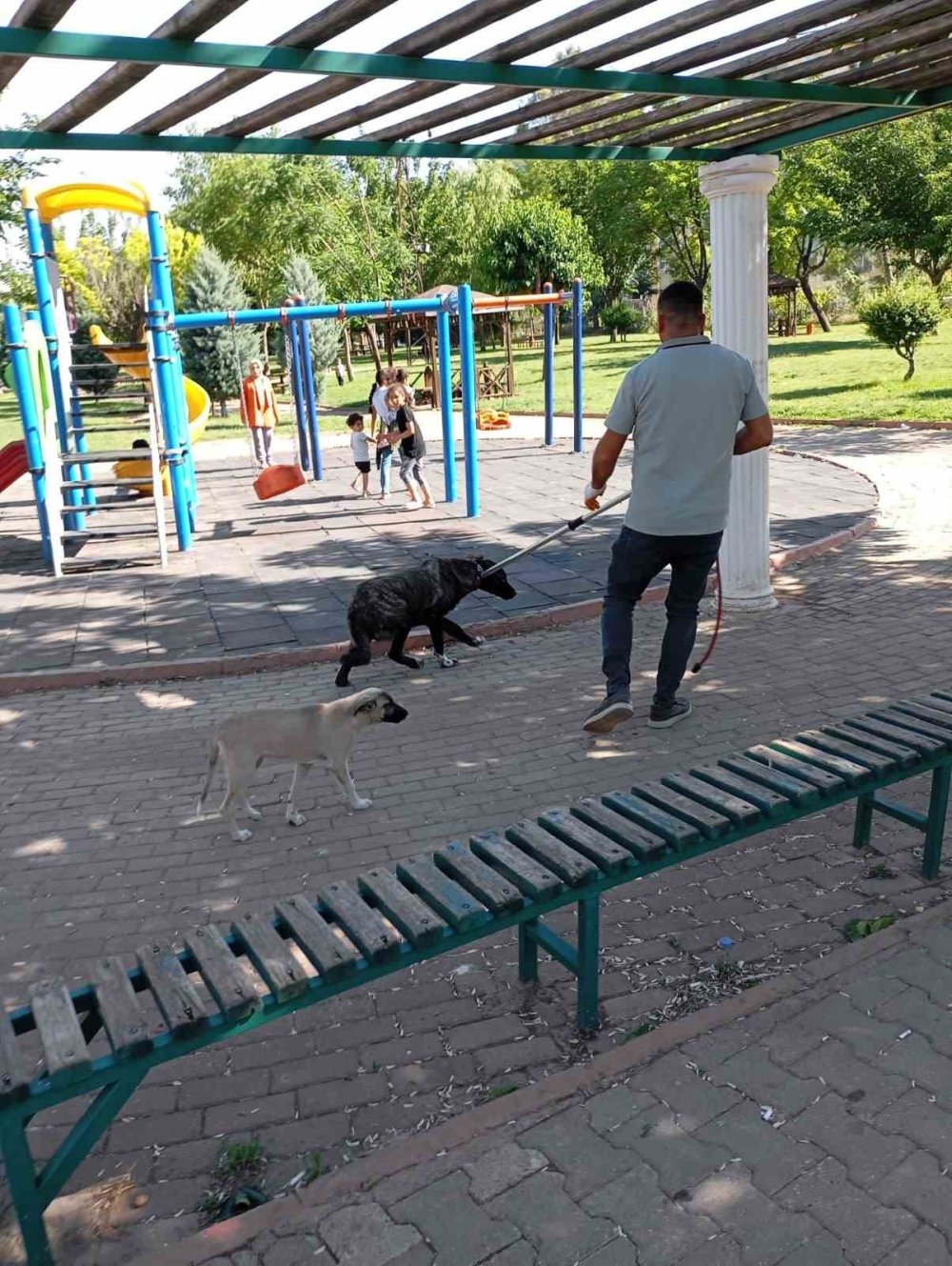 Kuduz çıkan köpek Şanlıurfa'da bir vatandaşı ısırdı