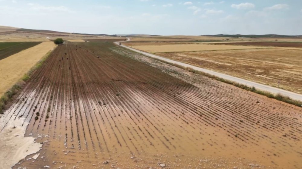 Su küpünün patlaması sonucu pamuk tarlası sular altında kaldı