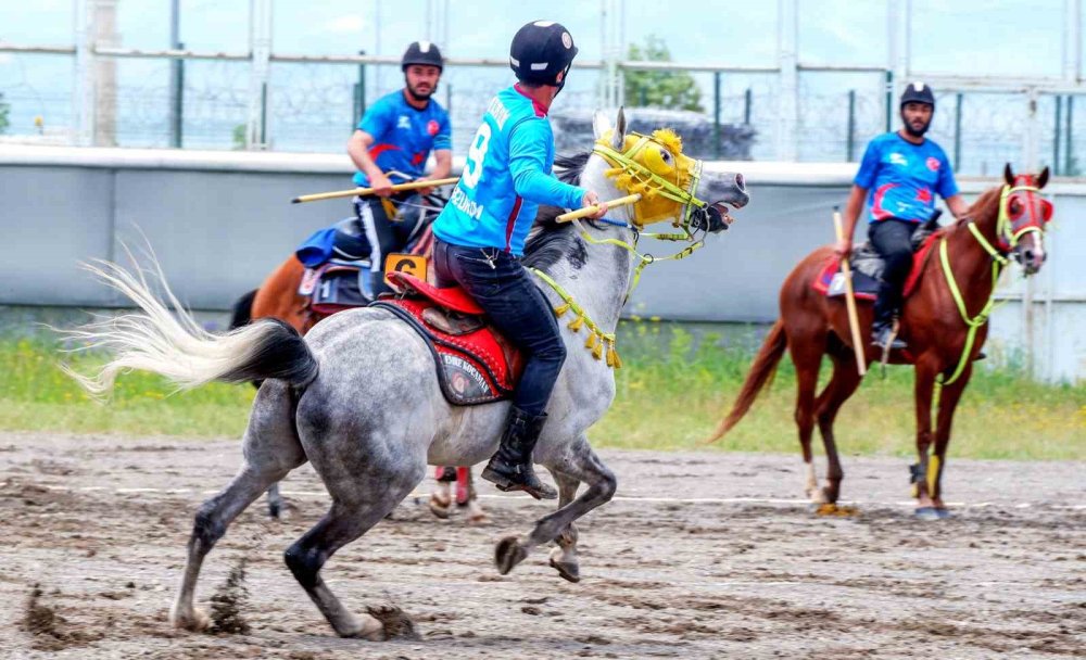 Erzurum’da cirit heyecanı devam ediyor