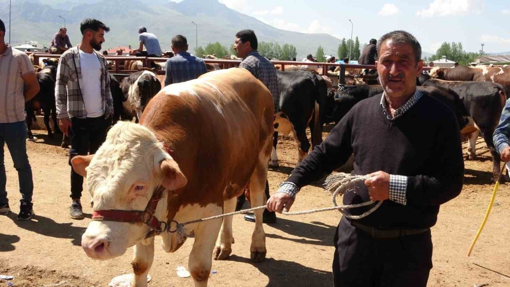 Van’daki kurban pazarlarında sıkı pazarlıklar başladı