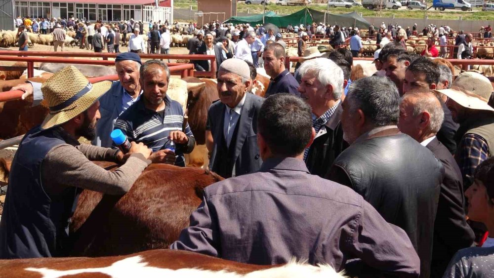 Van’daki kurban pazarlarında sıkı pazarlıklar başladı