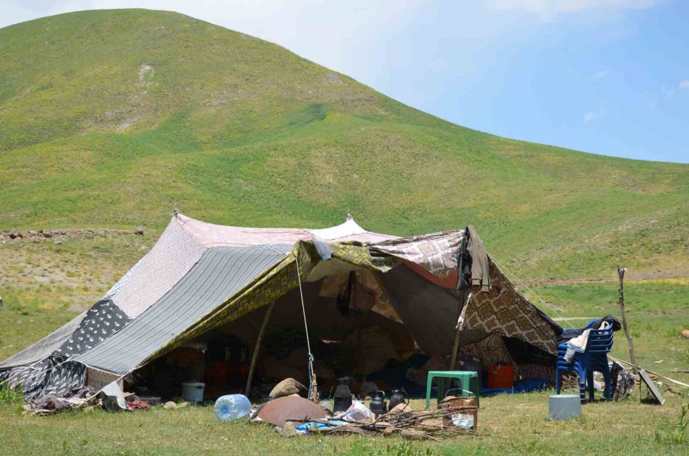 Faraşin'e ulaşan göçerler, ilk süt sağımını yaptı