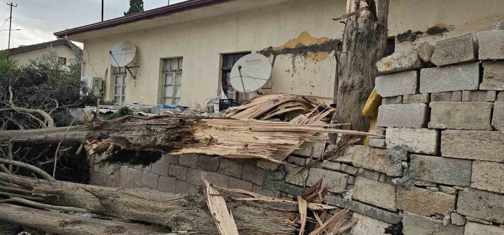 Gaziantep'te çıkan fırtına Antep fıstığı ağaçlarına zarar verdi