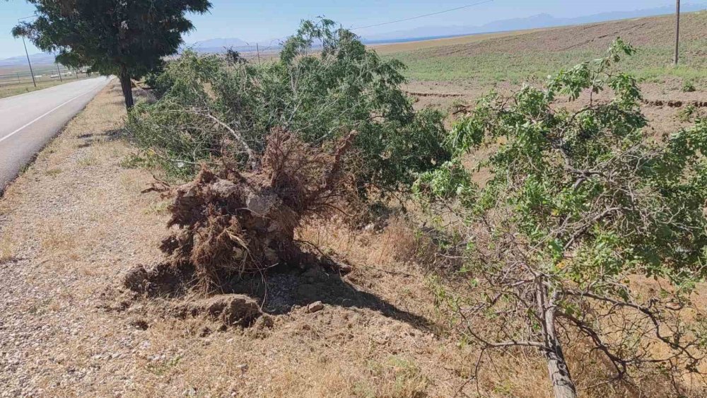 Adilcevaz’da toz fırtınası hayatı olumsuz etkiledi