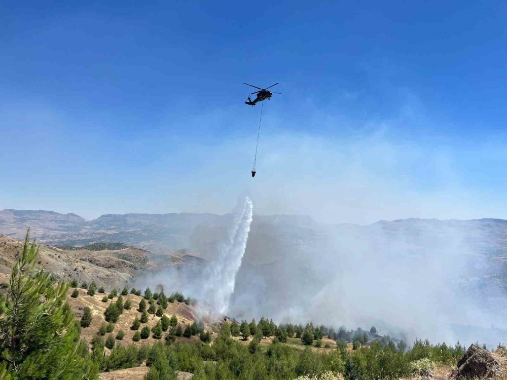 Adıyaman'da çobanın çay ateşi ormana sıçrayarak yayıldı