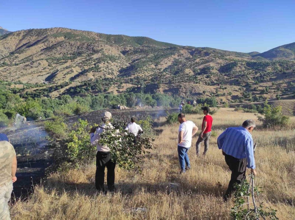 Sason'da köy sakinleri çıkan yangını söndürmek için insan zinciri oluşturdu