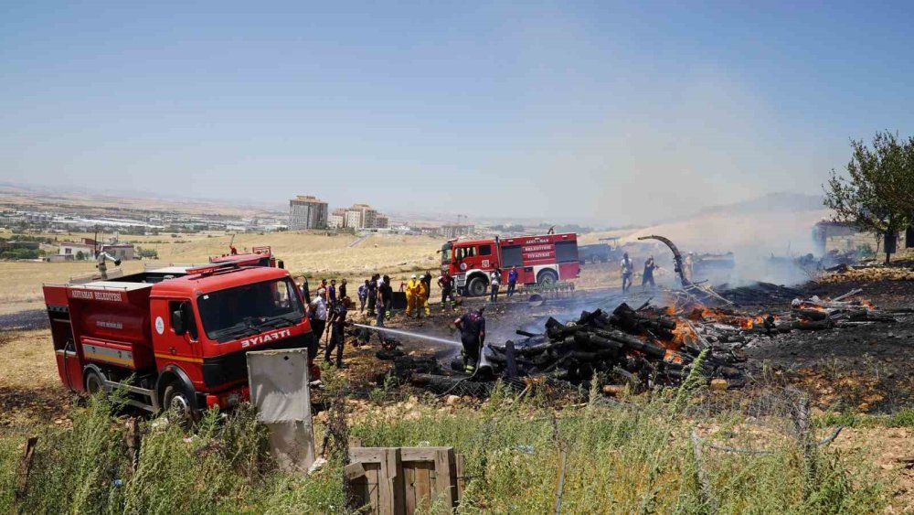 Korkutan yangın evlere sıçramadan söndürüldü