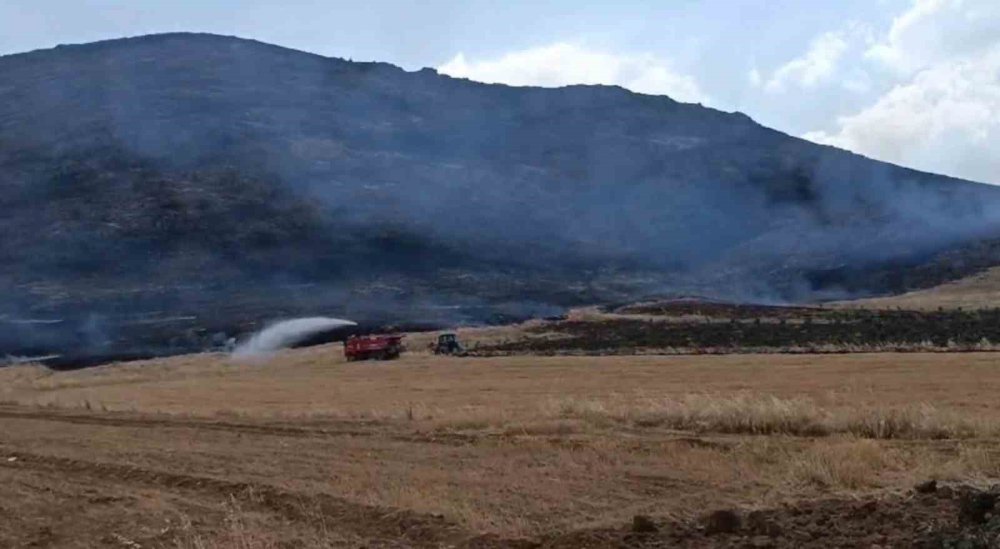 Antep’te anız yangını ormanlık alana zarar verdi