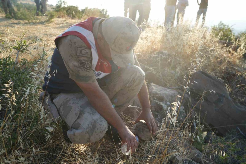 Kilis’te yangın ortasında kalan kaplumbağayı kurtarıldı