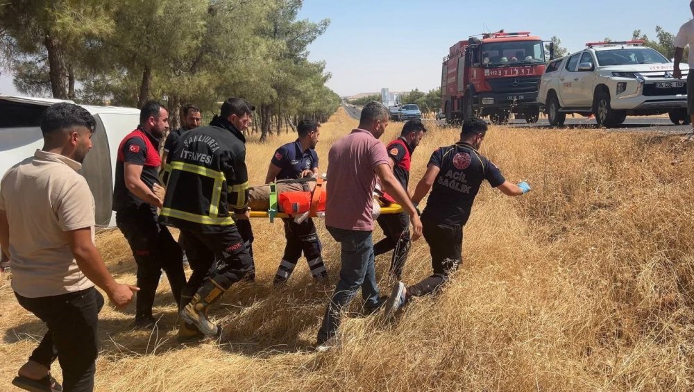 Urfa'da kontrolden çıkan otomobil ağaca çarptı: 2 yaralı