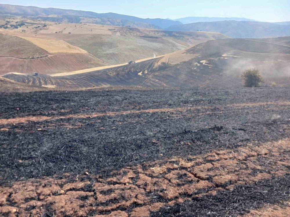 Siirt’te çıkan anız yangını söndürüldü