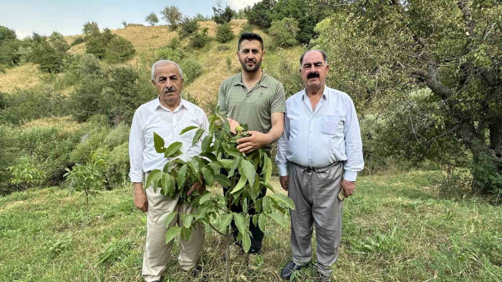 Esendere'yi yeşil vadiye çevirdi