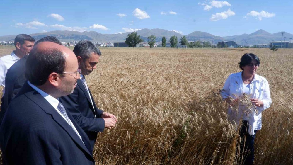 Erzurum Teknik Üniversitesin'de milli ve yerli tohum hamlesi