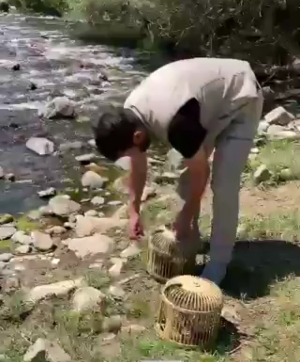 Bitlis’te keklik avlayan 1 kişiye  para cezası uygulanacak