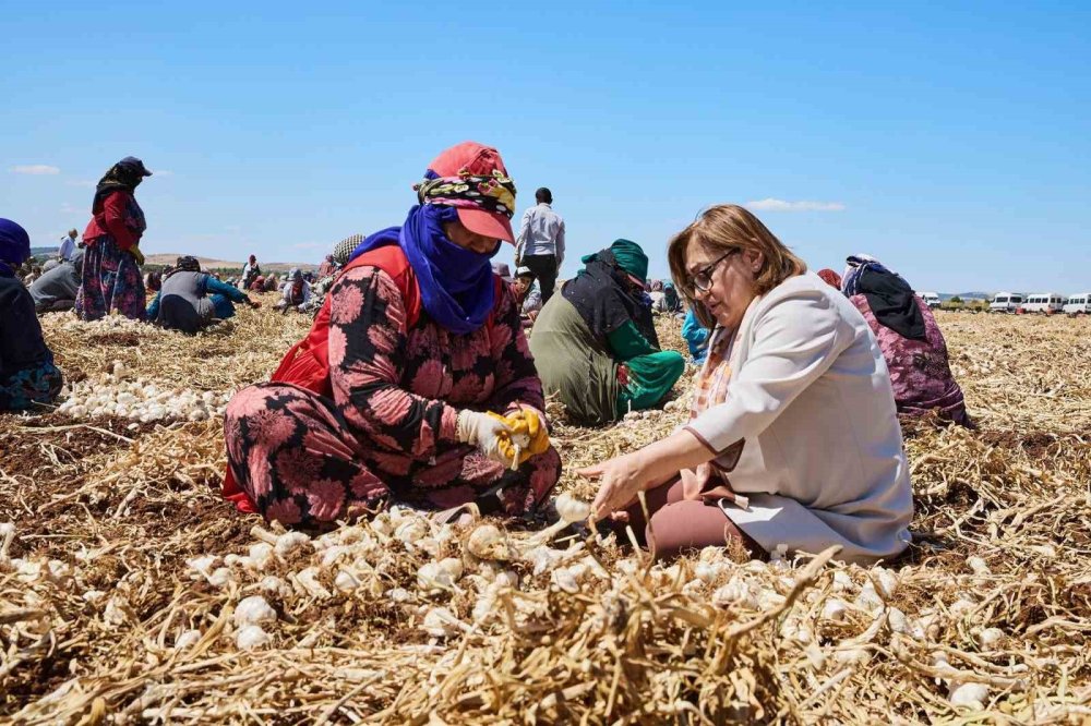 Gaziantep BüyükŞehir belediyesi çiftçiye 8 milyon 432 bin 925 litre mazot desteği verildi