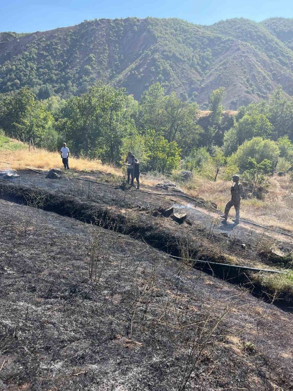 Tunceli’de çıkan örtü yangın büyümeden söndürüldü