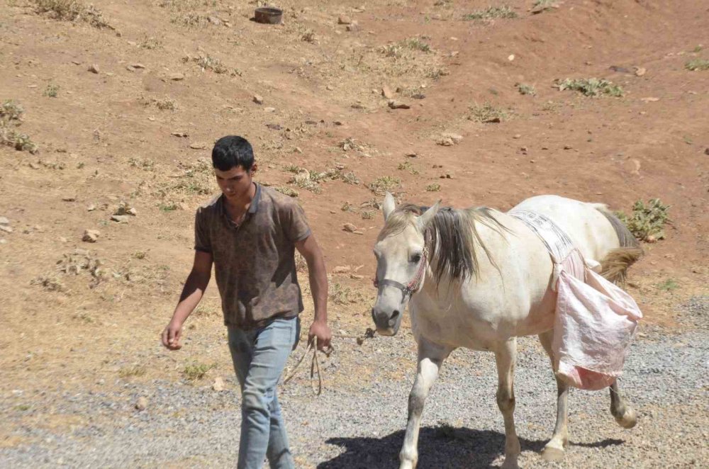 Malatya'da hayvan yetiştiricilerinin ’aracı’ tepkisi