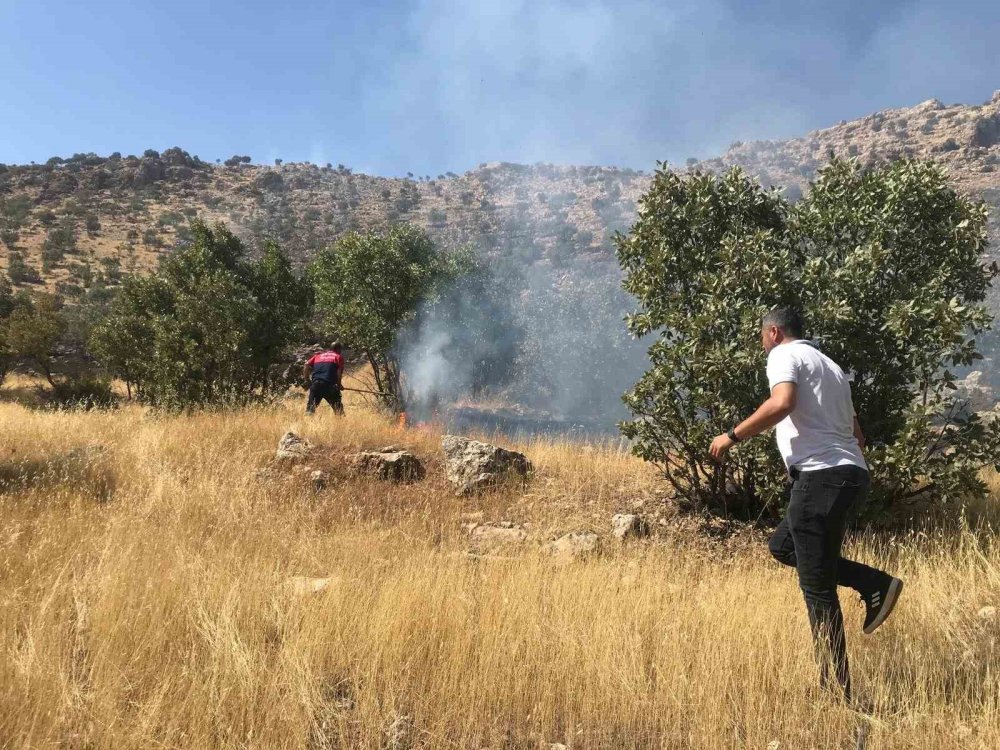 Mardin’de ormanlık alanda çıkan yangın ekiplerce söndürüldü