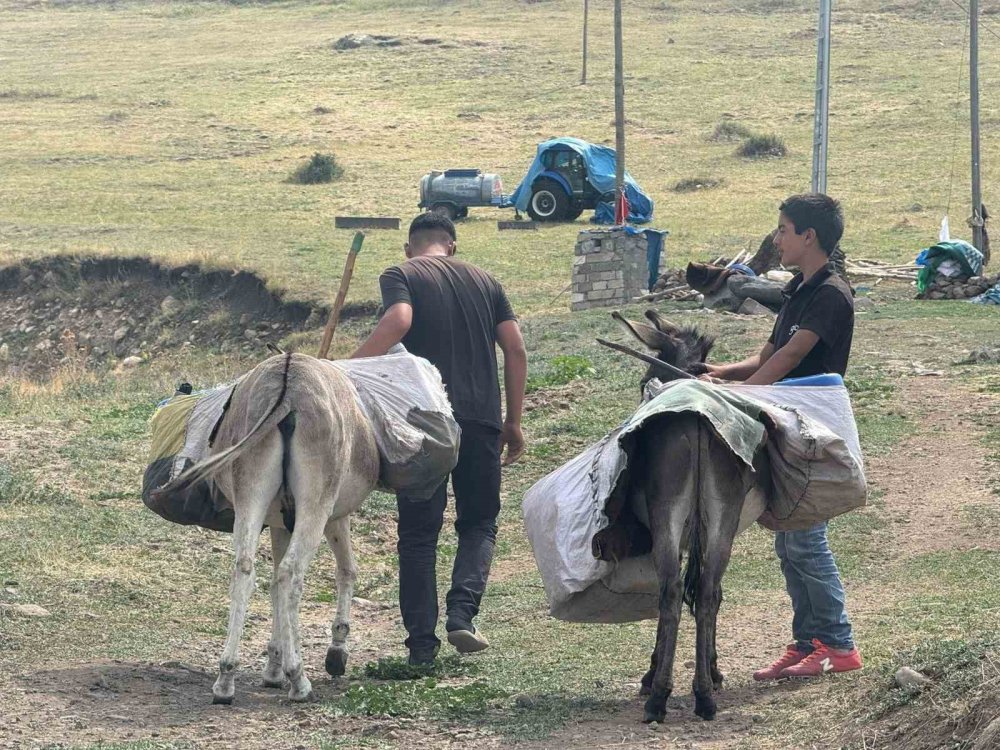 Iğdır'da çocukların eşekle su taşıma çilesi