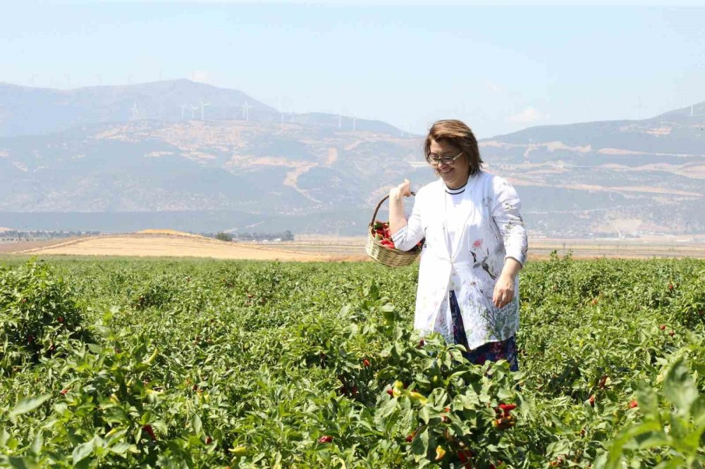 GastroAntep Kültür Yolu Festivali ile Gaziantep’in mutfak ve kültür zenginliği  dünya sahnesinde