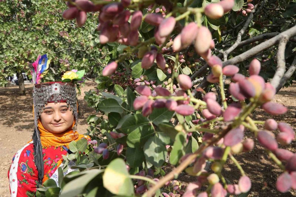 GastroAntep Kültür Yolu Festivali ile Gaziantep’in mutfak ve kültür zenginliği  dünya sahnesinde